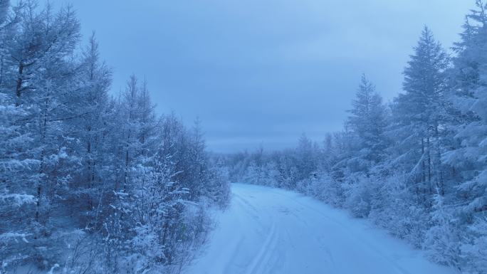 航拍林海雪原雪林和山路