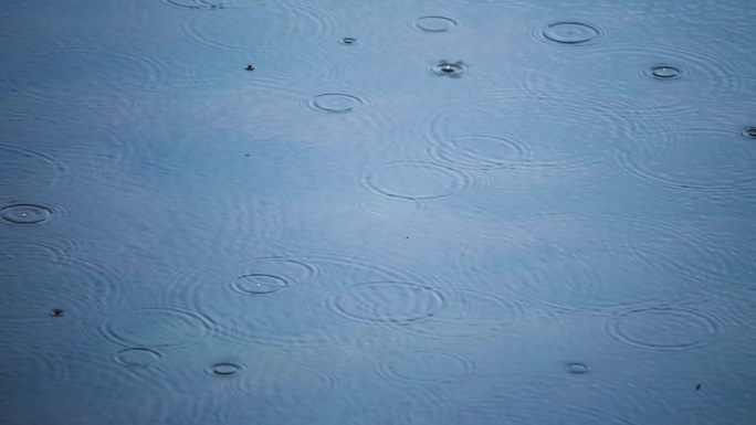 雨滴在水面上弹跳，激起涟漪。