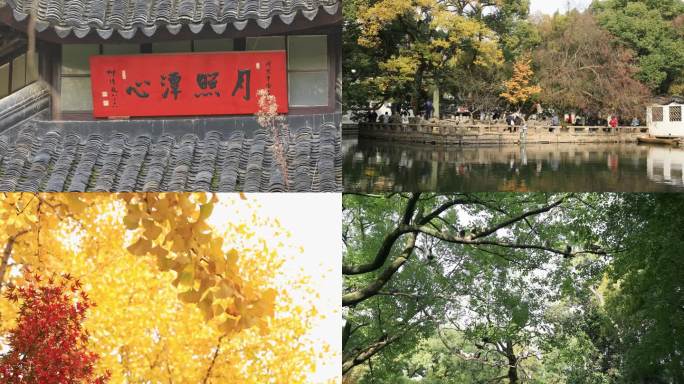 【合集】秋天西园唯美银杏古建筑风光