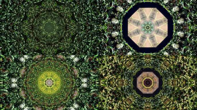 一个充满活力和活力的热带树叶漩涡和多层万花筒图案嗖地过去，从几何图案中创造出一种催眠效果