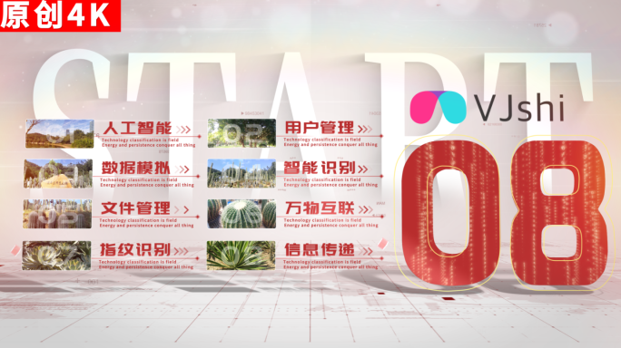 8-商务简洁红色分类ae模板包装4k