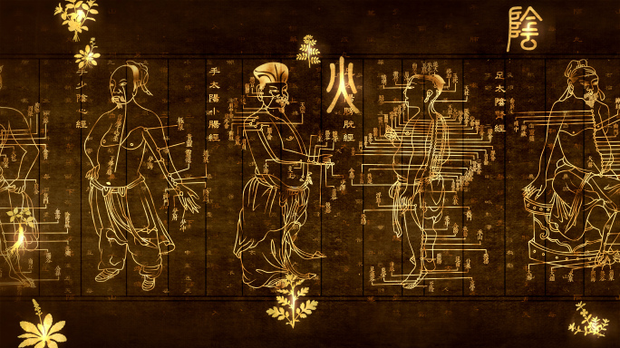 4K中医针灸十二经络经脉穴位线描AE模版