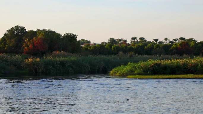 埃及尼罗河景观