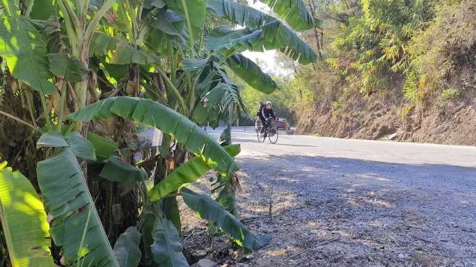 村村通工程 村村通 乡道车流 盘山公路