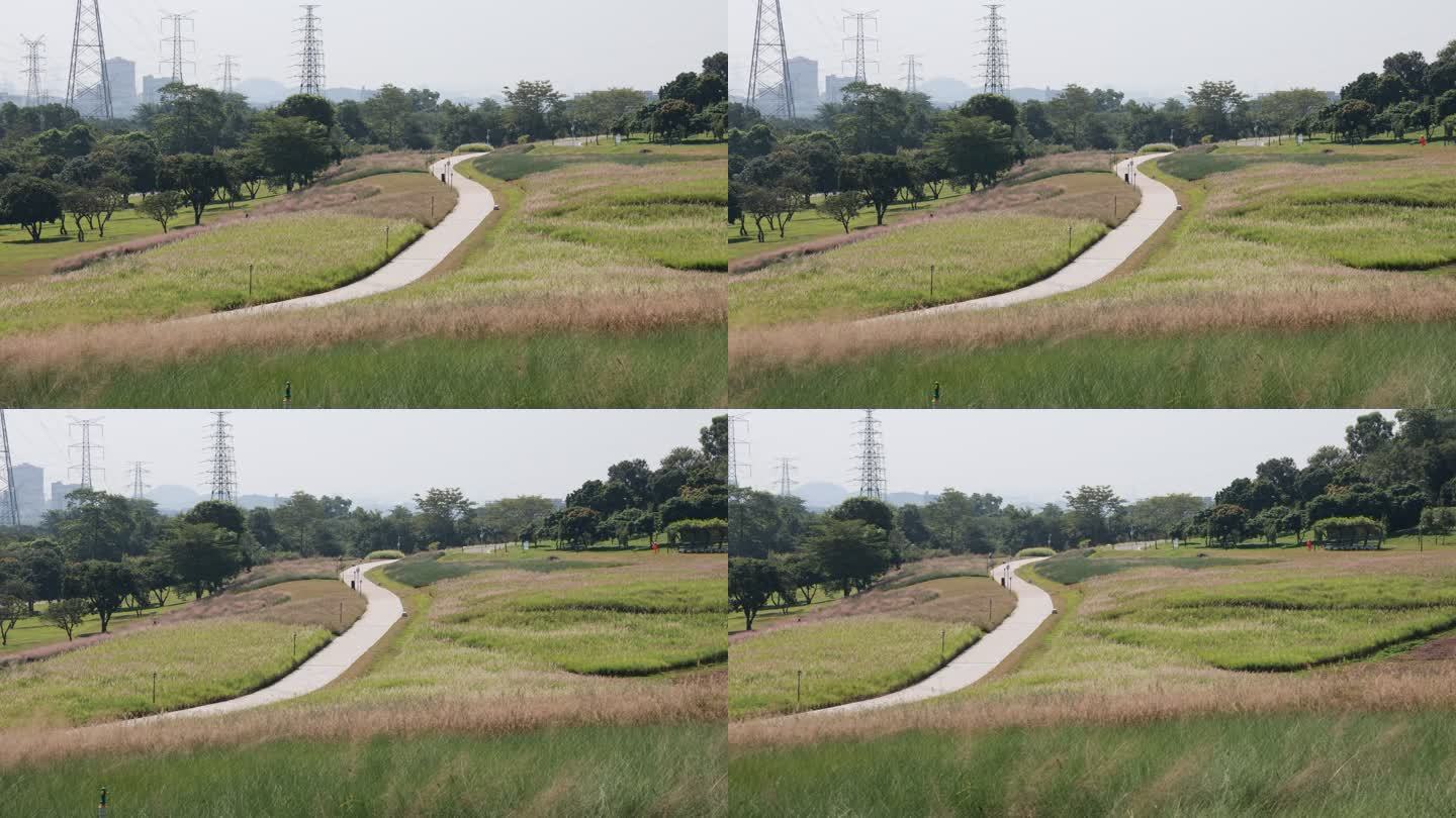 深圳石岩湖陌上花公园/公园休闲小路