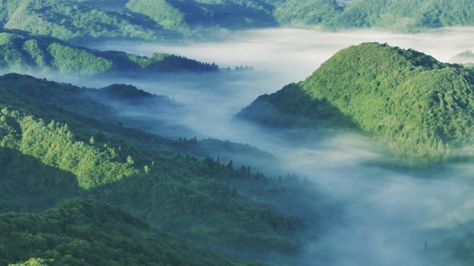 自然森林云雾山间仙山仙境航拍