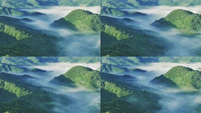 自然森林云雾山间仙山仙境航拍
