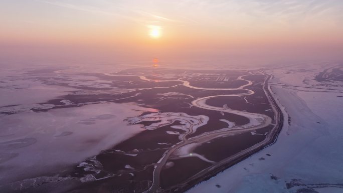 黄河入海口潮汐树游龙图案守护黄河