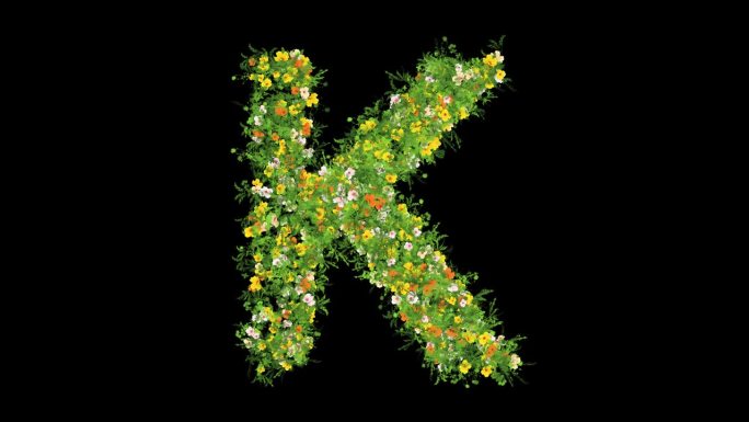 英文字母K与草和彩色花朵在纯黑色的背景