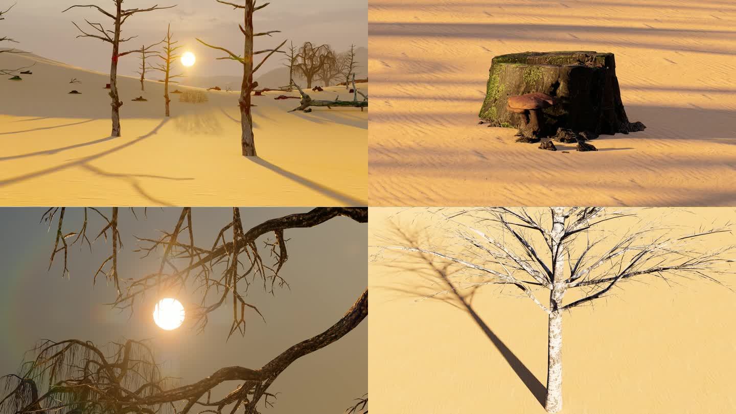 阳光照射下干旱沙漠中枯树的航拍照片