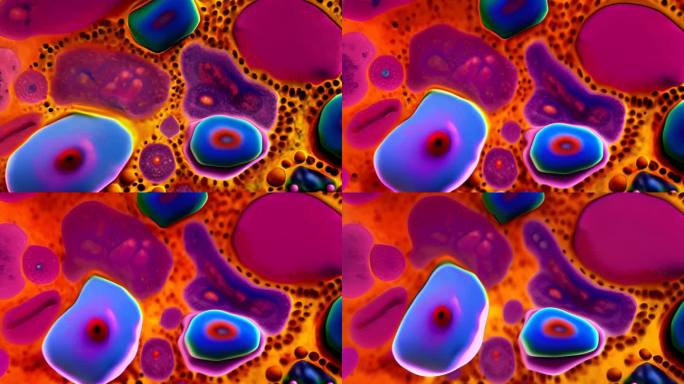 微观细胞显微镜多彩艳丽生物物理化学