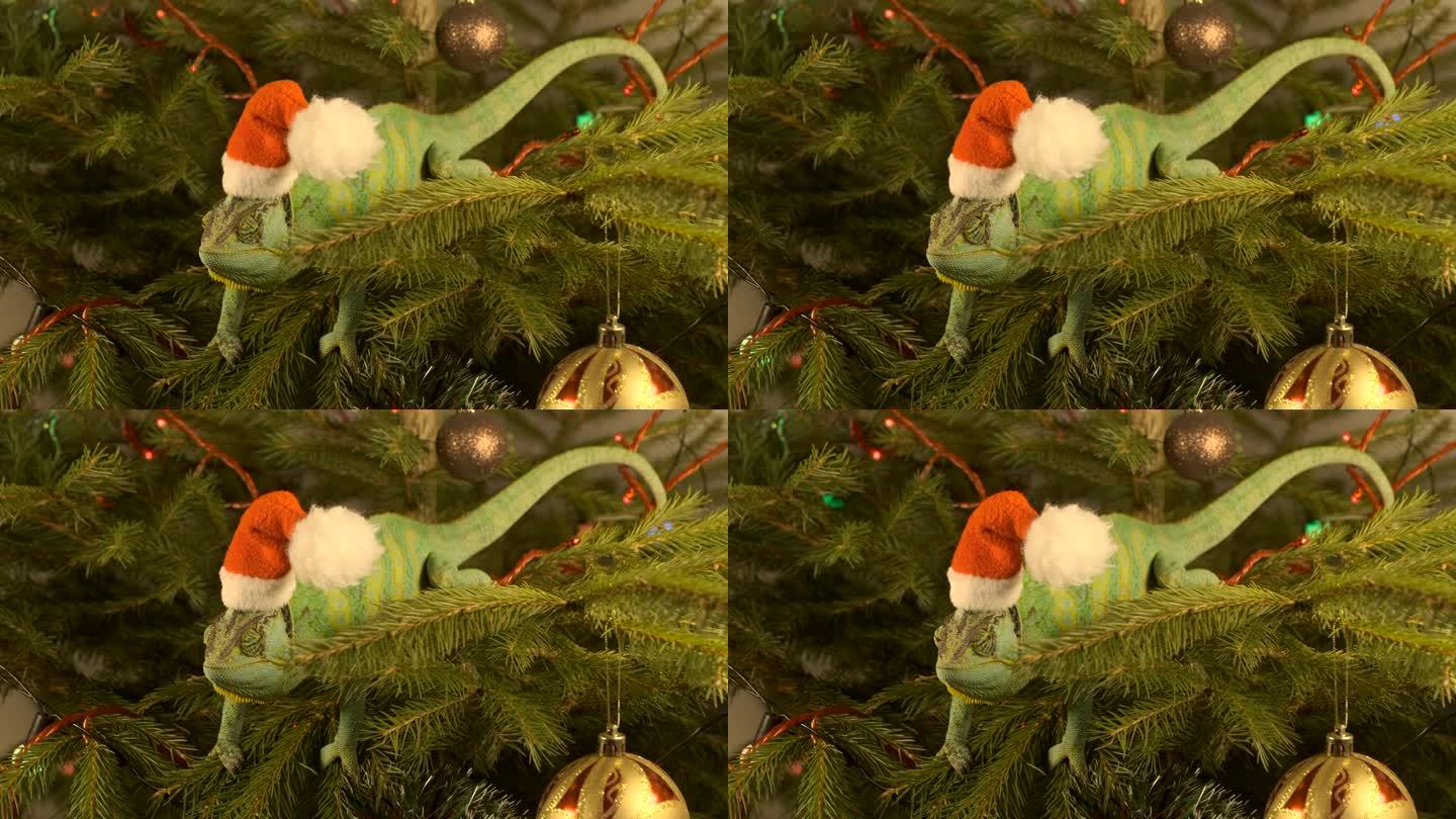 绿龙、变色龙戴着圣诞老人的帽子坐在圣诞树上，象征2024年