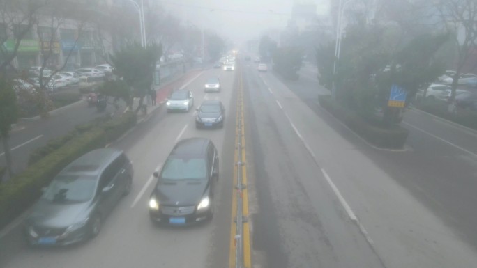 大雾天 浓雾 行车安全 水汽大 交通安全