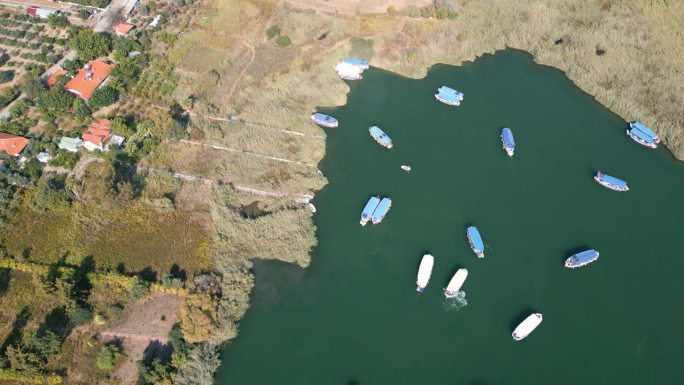 达尔延河无人机视频，爱琴海虎鲸，穆拉土耳其