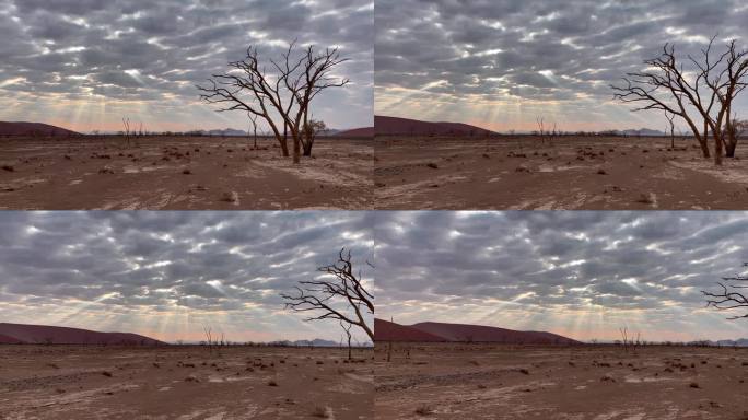 纳米比亚Dead vlei令人惊叹的景色，壮观的云层形成，光线透过潘上石化的树木