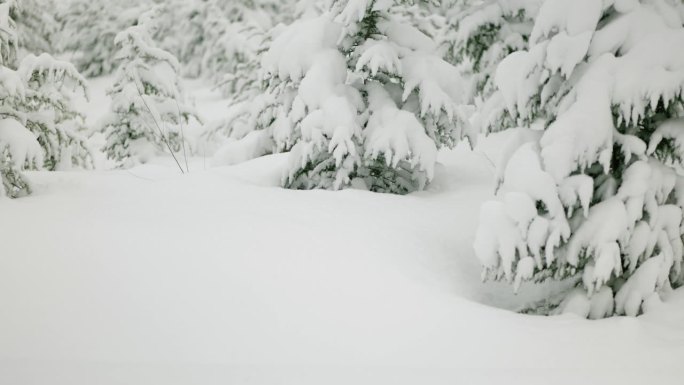 冬天下着大雪