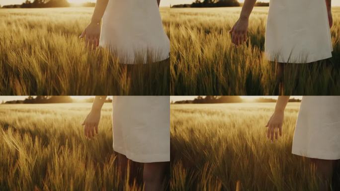 美丽的乌克兰年轻女子独自走在黄色的麦地上。