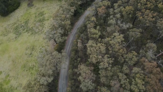 无人机在森林中的道路上飞行4K，一边是空旷的土地，另一边是原生树木
