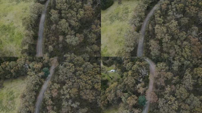 无人机在森林中的道路上飞行4K，一边是空旷的土地，另一边是原生树木