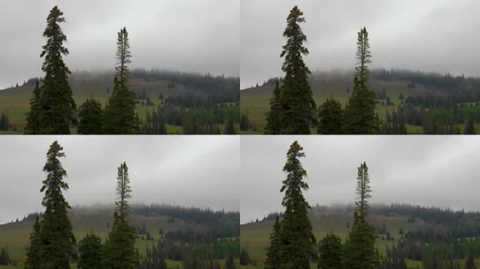 云和雾在山和树上移动。——间隔拍摄