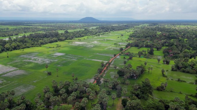 绿色的柬埔寨洪泛平原延伸到远处