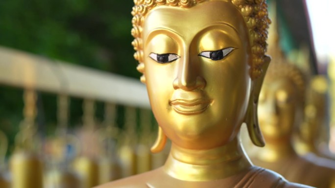 寺庙里的佛像是佛陀的代表，为那些尊重和相信它的人祈求生活中的美好事物。
