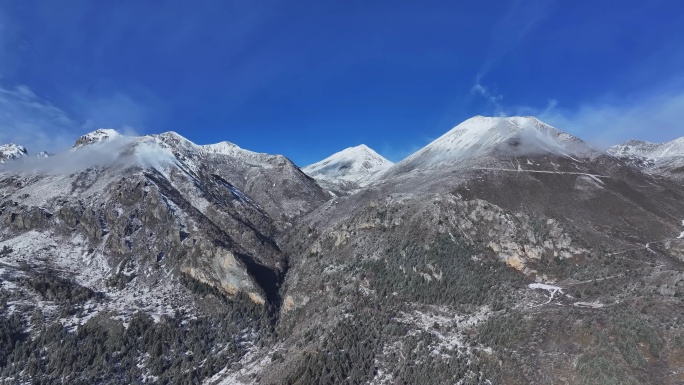 雪后的川西贡嘎山乡上城子村高山森林雪景