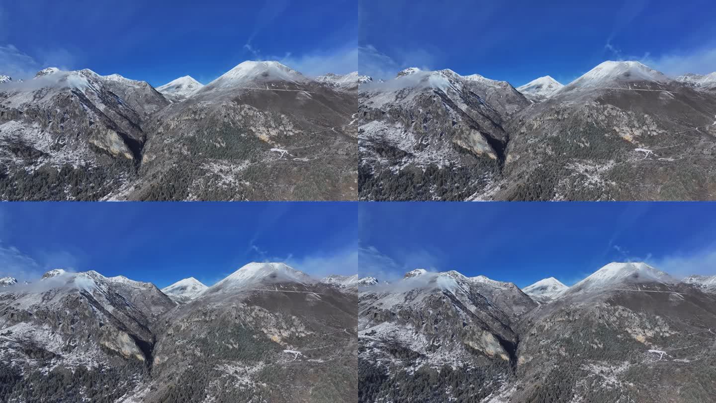 雪后的川西贡嘎山乡上城子村高山森林雪景