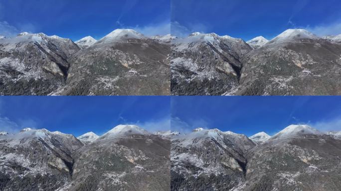 雪后的川西贡嘎山乡上城子村高山森林雪景