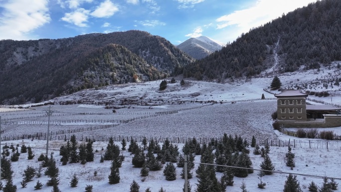 航拍雪后的川西贡嘎山乡上城子村雪景