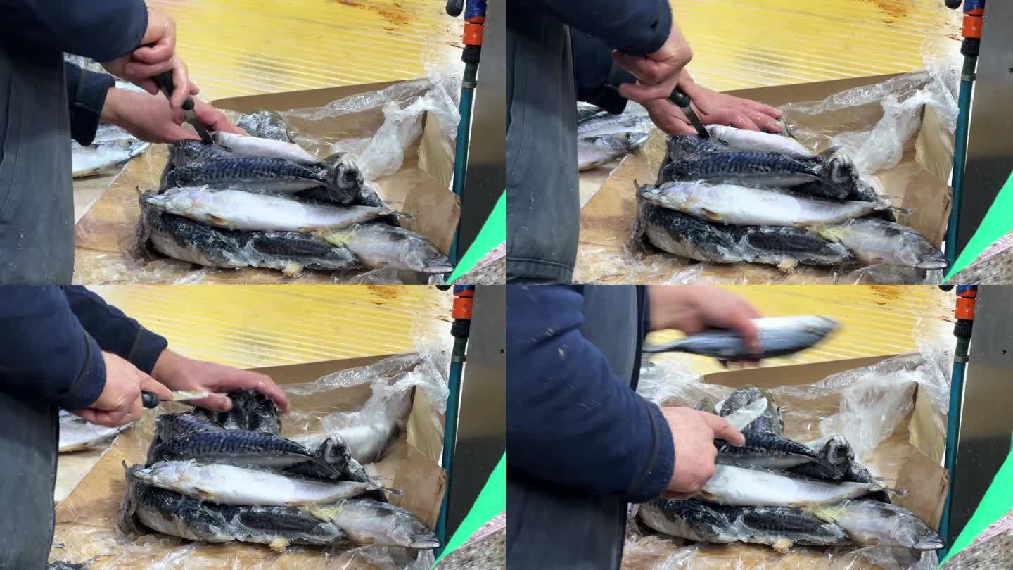 新鲜捕获的摇鱼在鱼市被清洗
