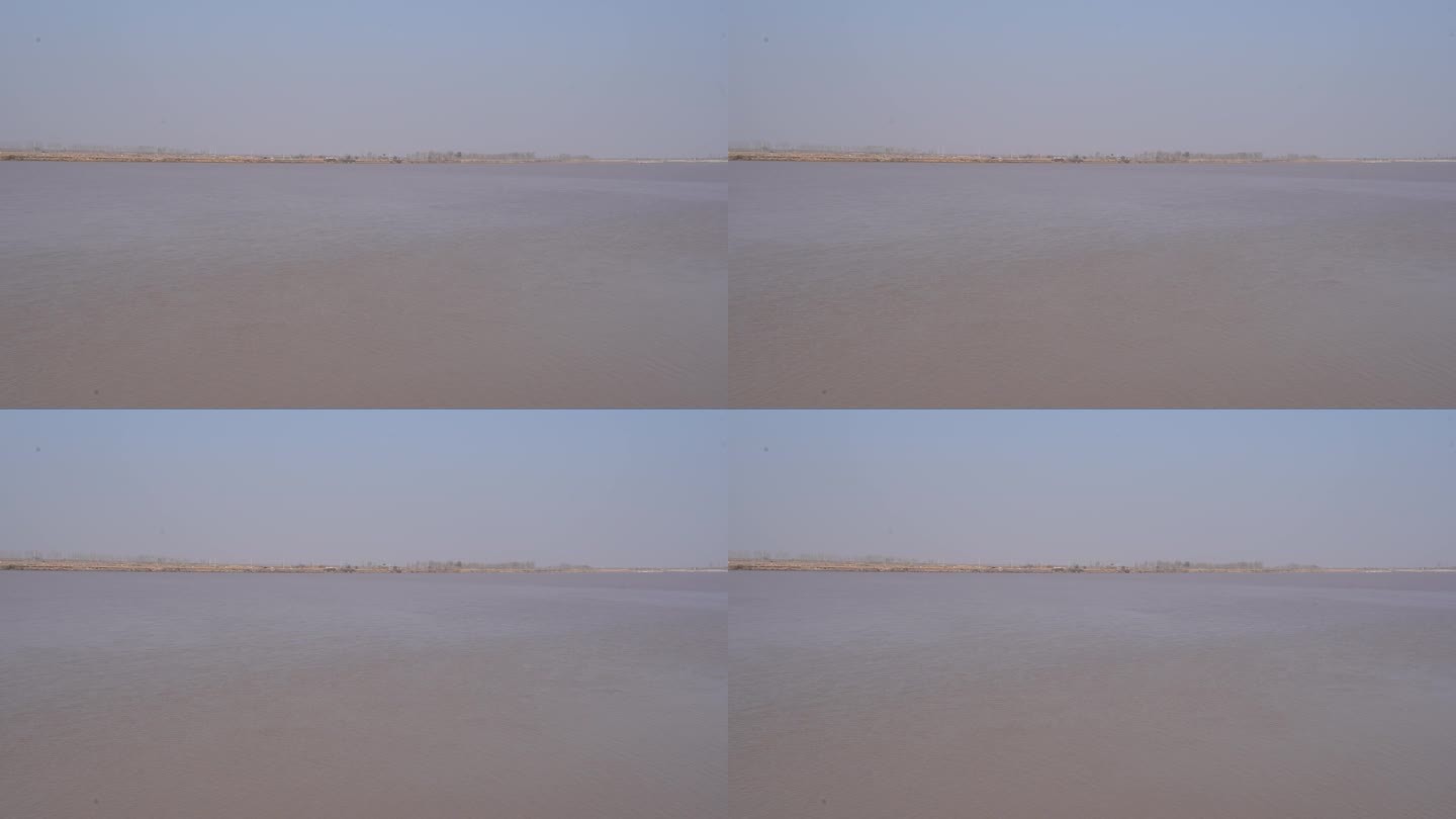 黄河入海口湿地