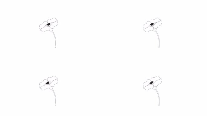 眼球花与茎bw轮廓2D对象动画
