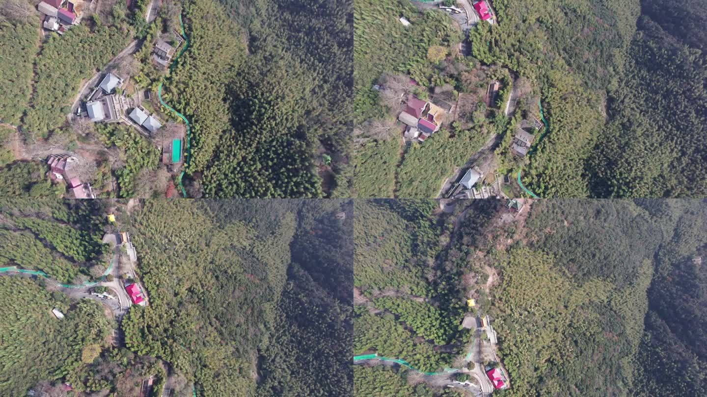 无人机拍摄的中国浙江省德清县莫干山。美丽的秋日竹林景观及山间各类别墅，4k实时画面，高角度视角。