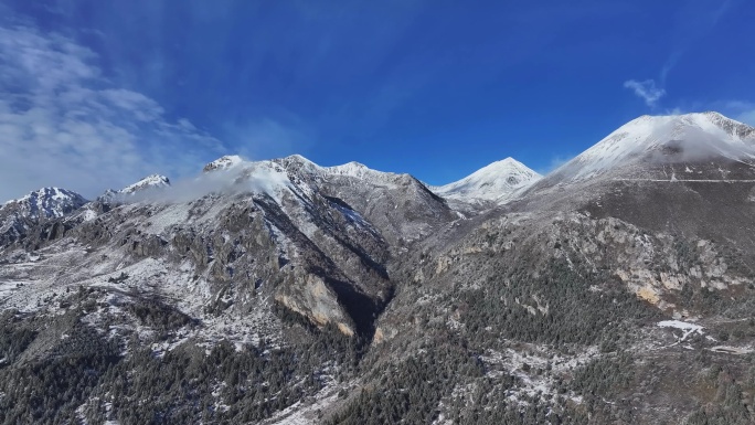 雪后的川西贡嘎山乡上城子村高山森林雪景