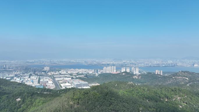 厦门海沧工业区航拍海沧大景新阳工业园鸟瞰