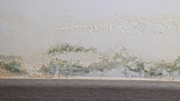公寓大楼墙壁上的霉菌
