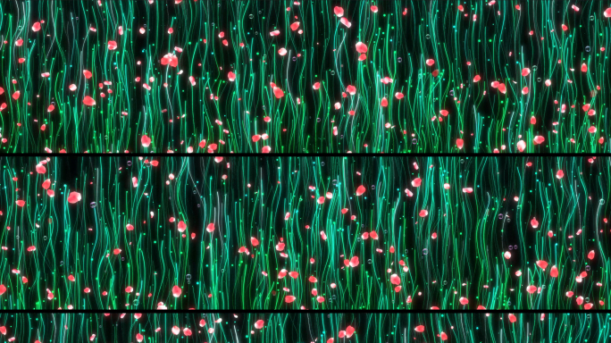 唯美植物线条生长花瓣大屏幕投影