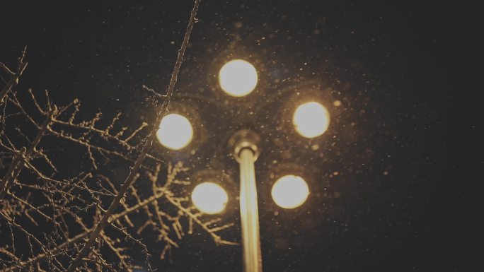 大连中山广场高清升格雪夜路灯空镜头