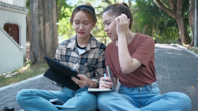 两名女学生坐在大学校园的草地上一起工作和学习考试