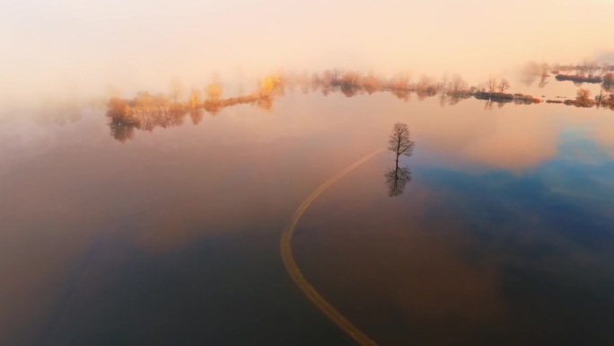 空中无人机拍摄的单株光秃秃的树在农村公路附近的洪水在雾天的日出