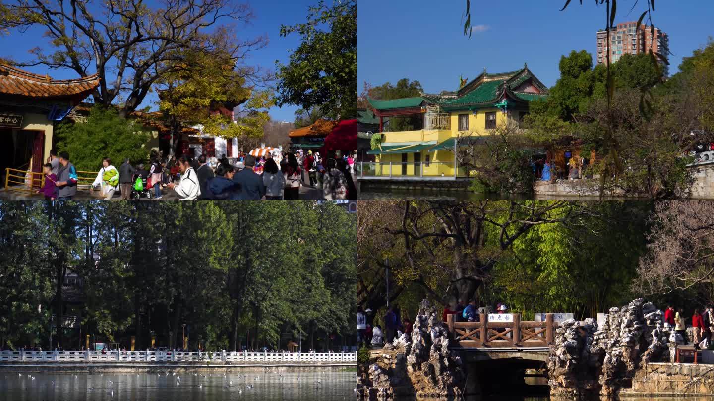 昆明翠湖元旦节的游客人流