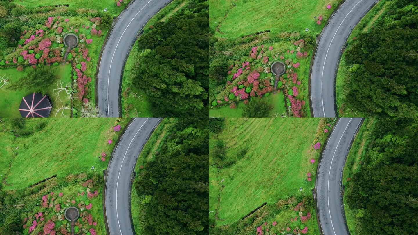 弯弯曲曲的道路穿过长满草的山丘，无人机俯视图。沥青山公路