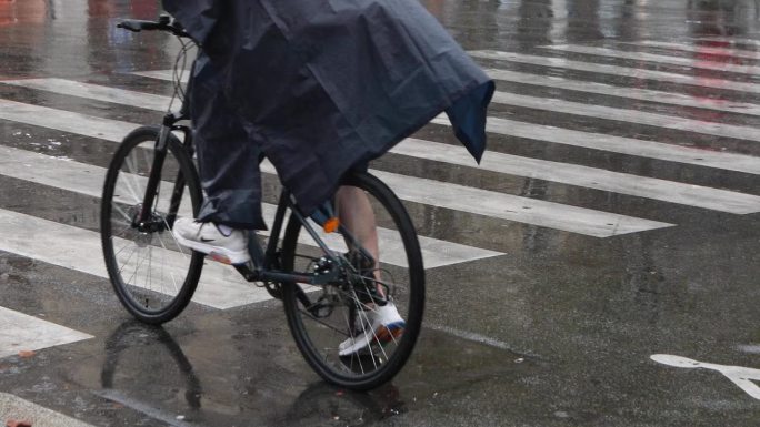 雨中斑马线上的车辆