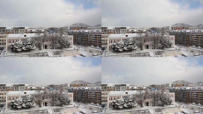 雪花飞雪飘雪下雪瑞雪兆丰年雪迎春到