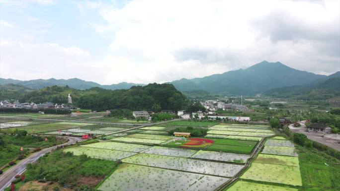 龙岩古田会议4k视频