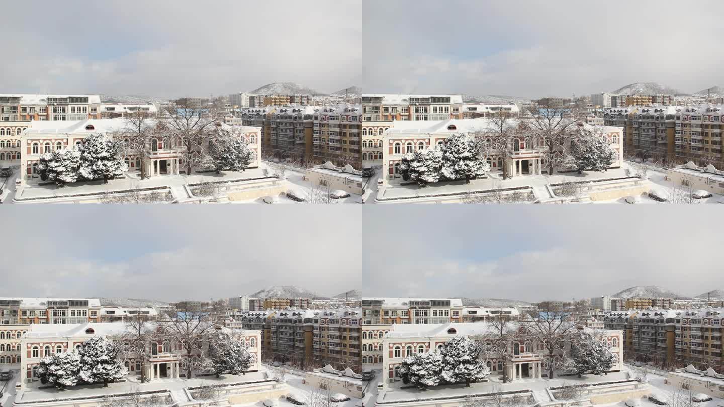 雪花飞雪飘雪下雪瑞雪兆丰年雪迎春到