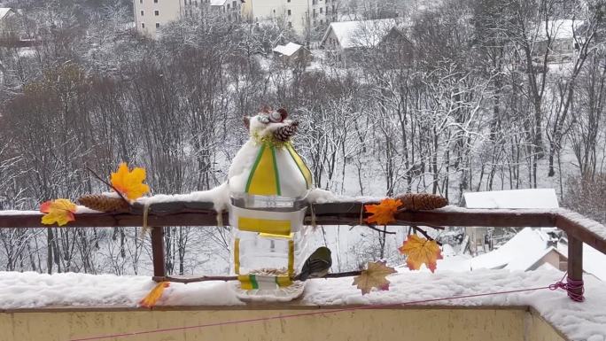 冬天，山雀在阳台上用塑料瓶手工制作的喂食器里吃南瓜和葵花籽。