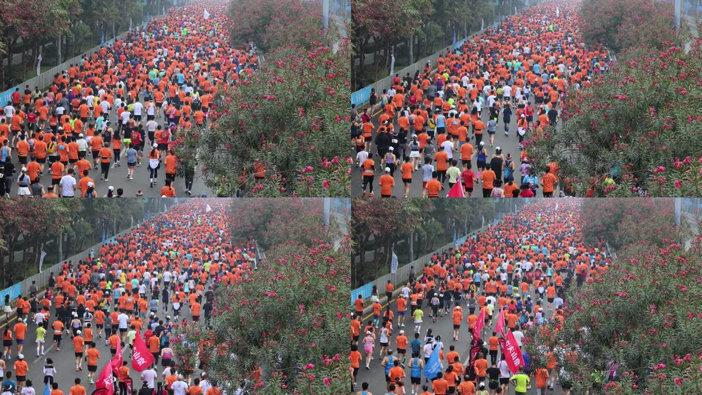 2023深圳宝安国际马拉松