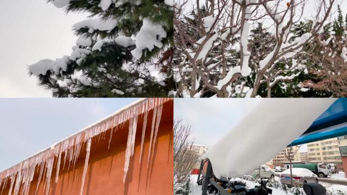 雪 大暴雪过后 浪漫的雪景 美丽的冰凌